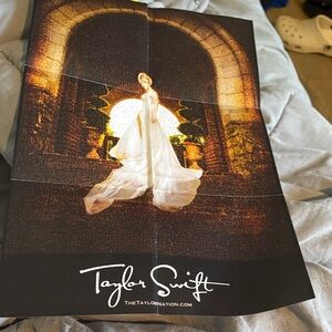 Taylor Swift Concert Poster